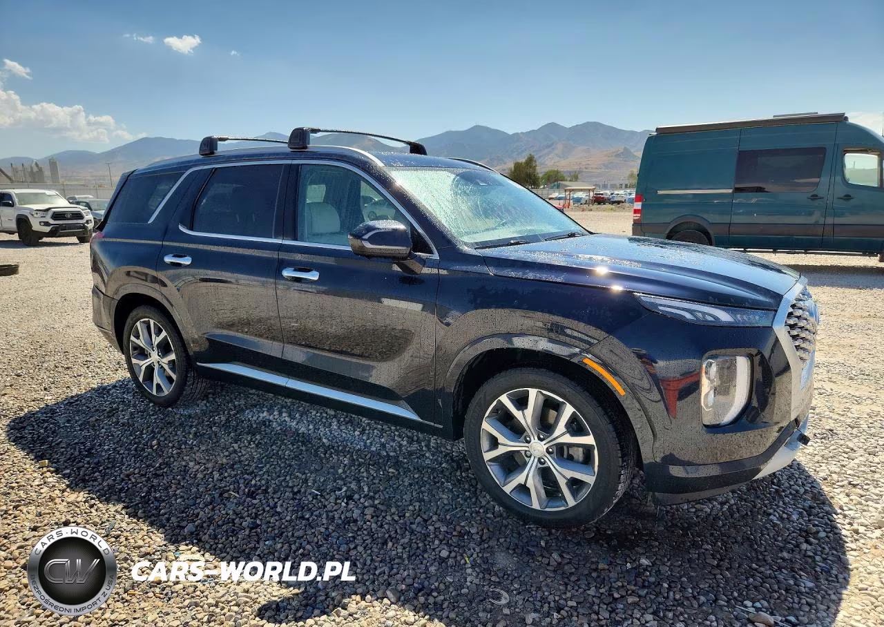 2021 Hyundai Palisade Limited VIN:KM8R5DHE6MU269727 - 4