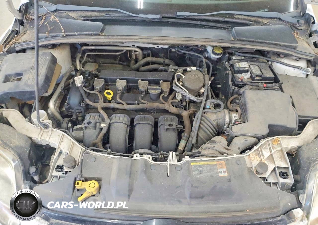 2012 Ford Focus Sel VIN:1FAHP3H27CL230441 - 11