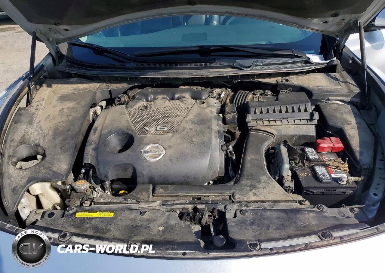2009 Nissan Maxima 3.5 S VIN:1N4AA51E69C836308 - 11