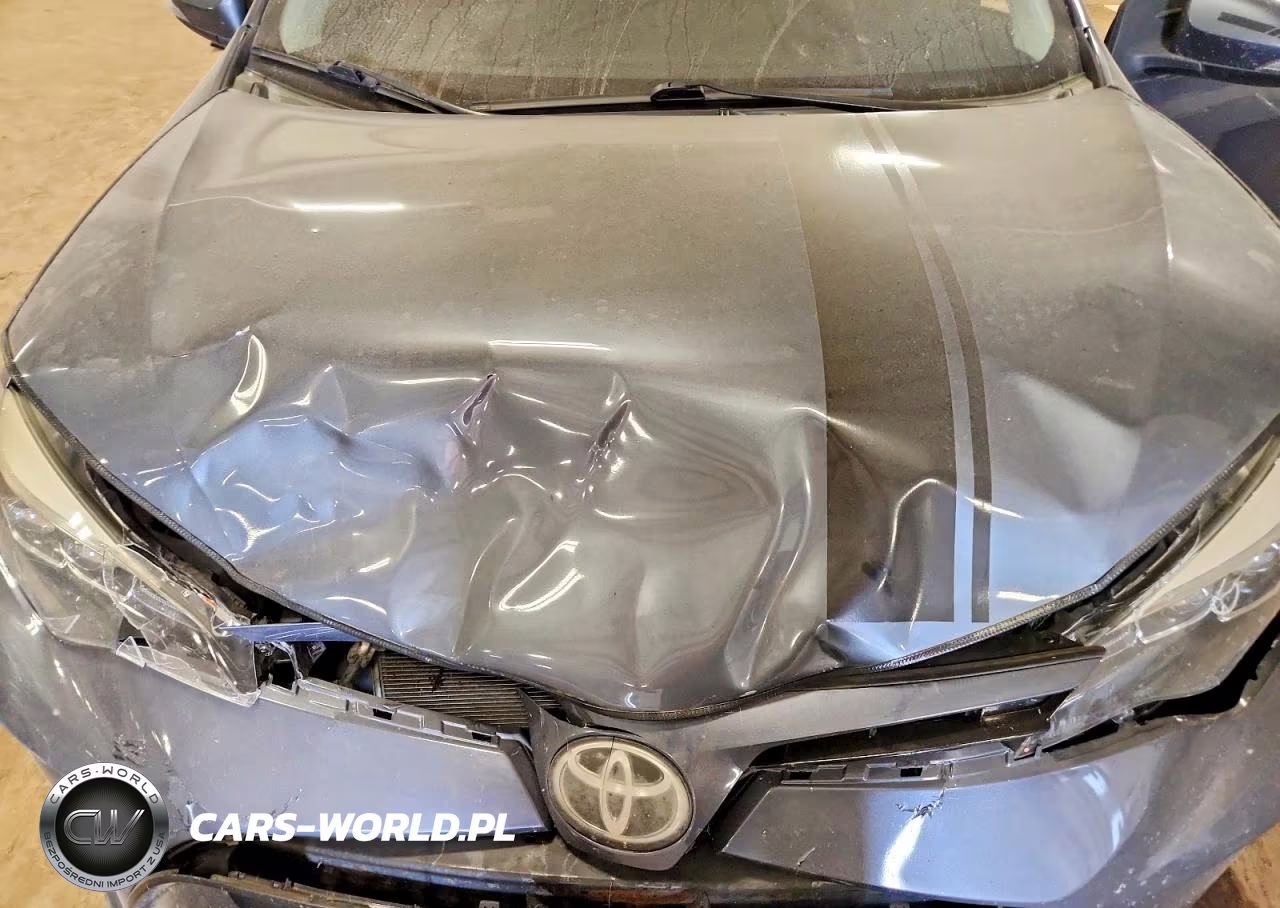 2017 Toyota Corolla Se VIN:5YFBURHE3HP629724 - 11