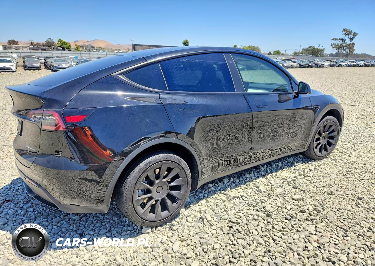 2023 Tesla Model Y VIN:7SAYGDEE7PA118777 - 3