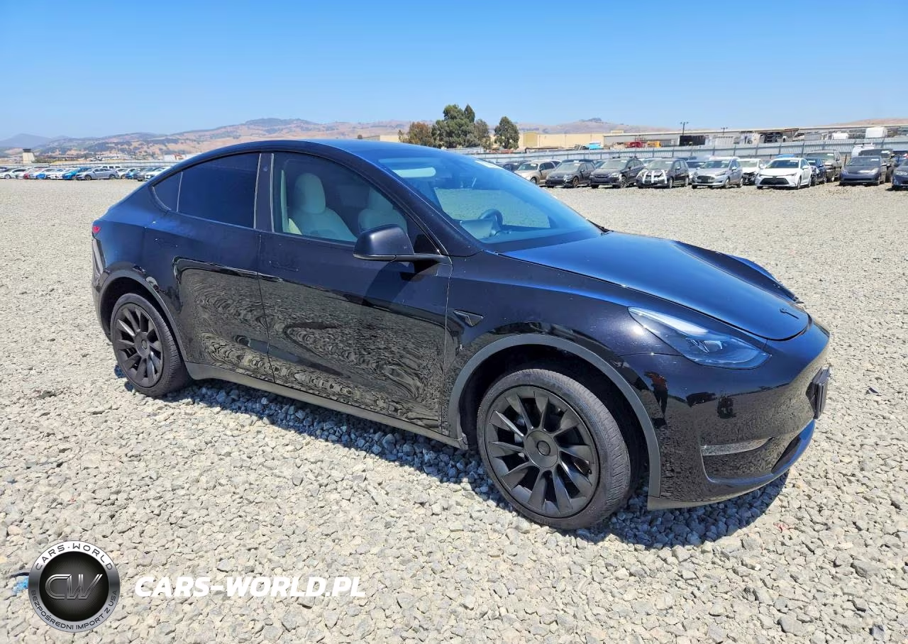 2023 Tesla Model Y VIN:7SAYGDEE7PA118777 - 4