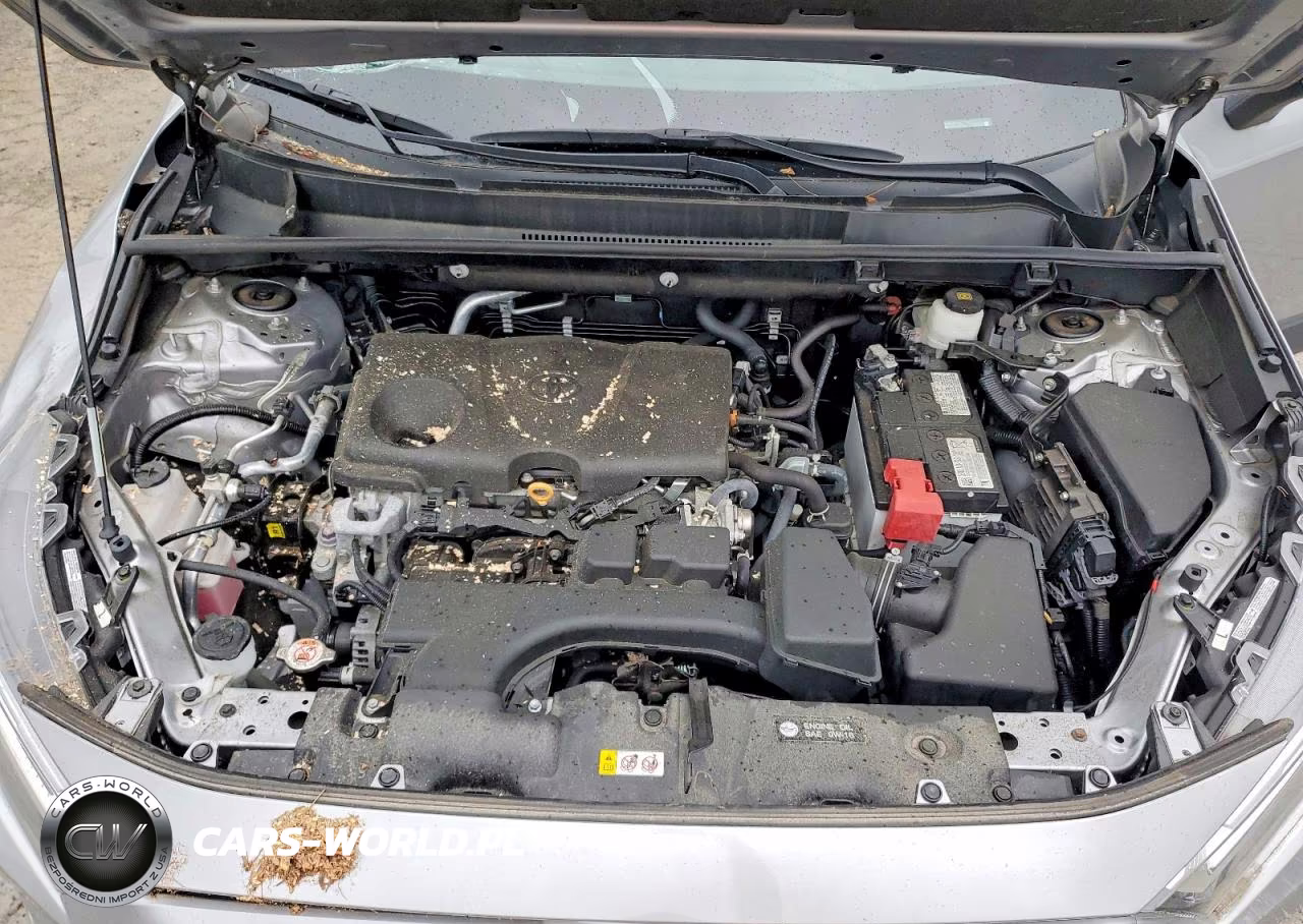 2023 Toyota Rav4 Xle VIN:2T3P1RFV0PC329176 - 12