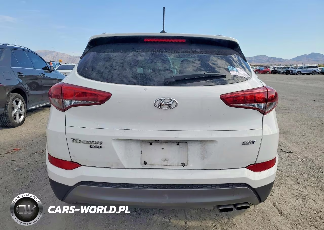 2016 Hyundai Tucson Eco VIN:KM8J33A24GU233276 - 6