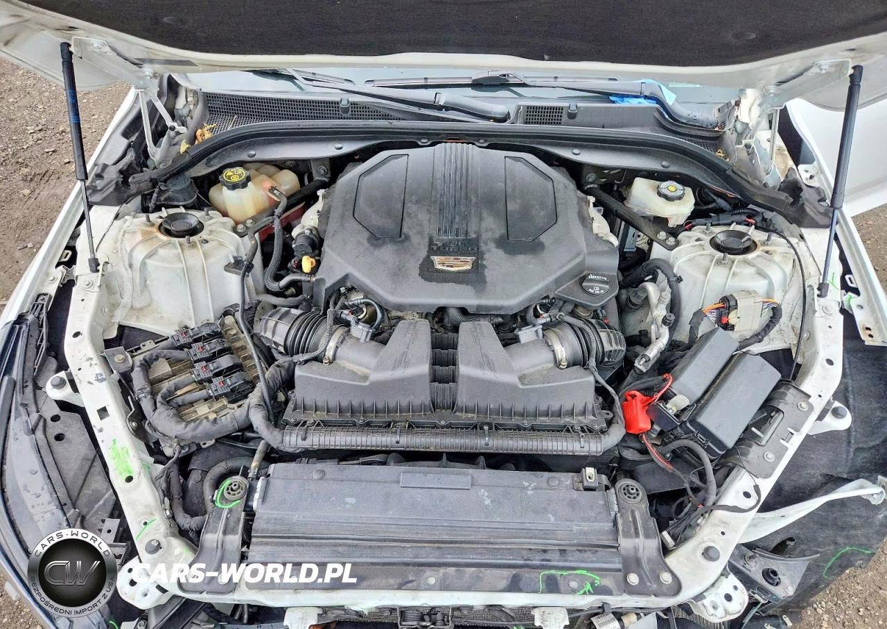 2021 Cadillac Ct5 Premium Luxury VIN:1G6DT5RW9M0120448 - 11