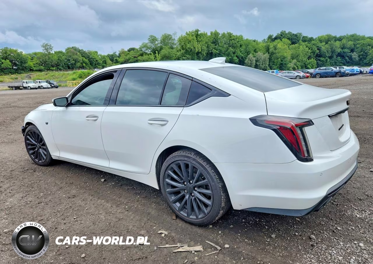 2021 Cadillac Ct5 Premium Luxury VIN:1G6DT5RW9M0120448 - 2