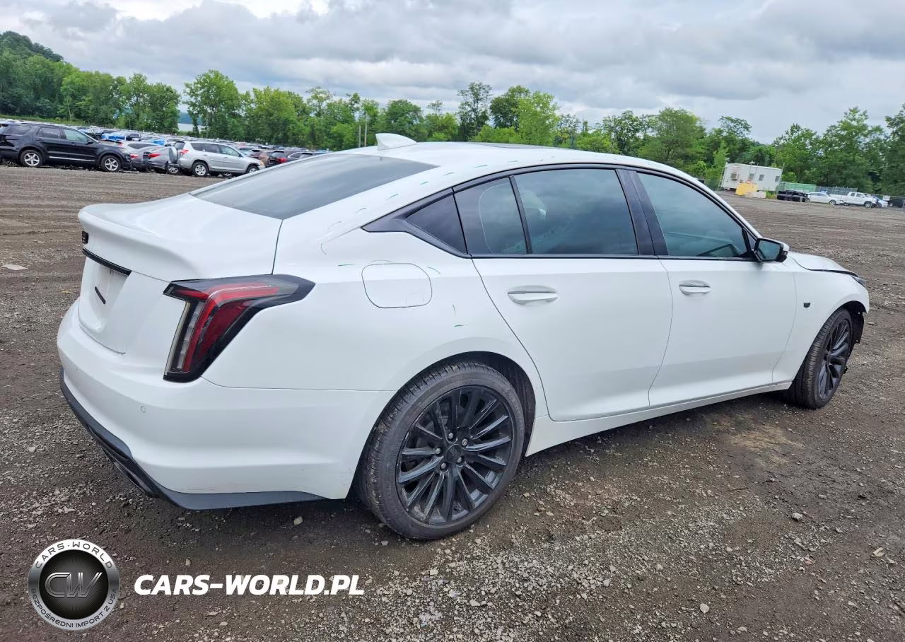 2021 Cadillac Ct5 Premium Luxury VIN:1G6DT5RW9M0120448 - 3