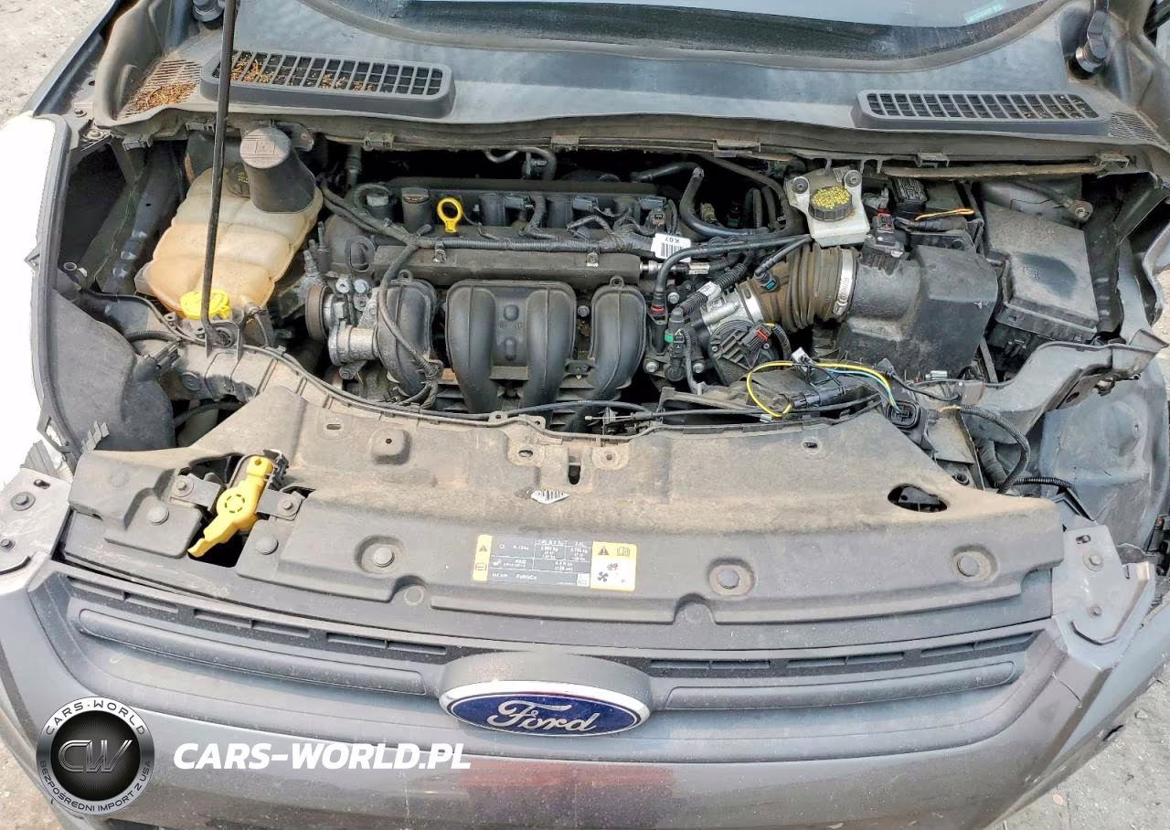 2016 Ford Escape S VIN:1FMCU0F73GUC52197 - 12