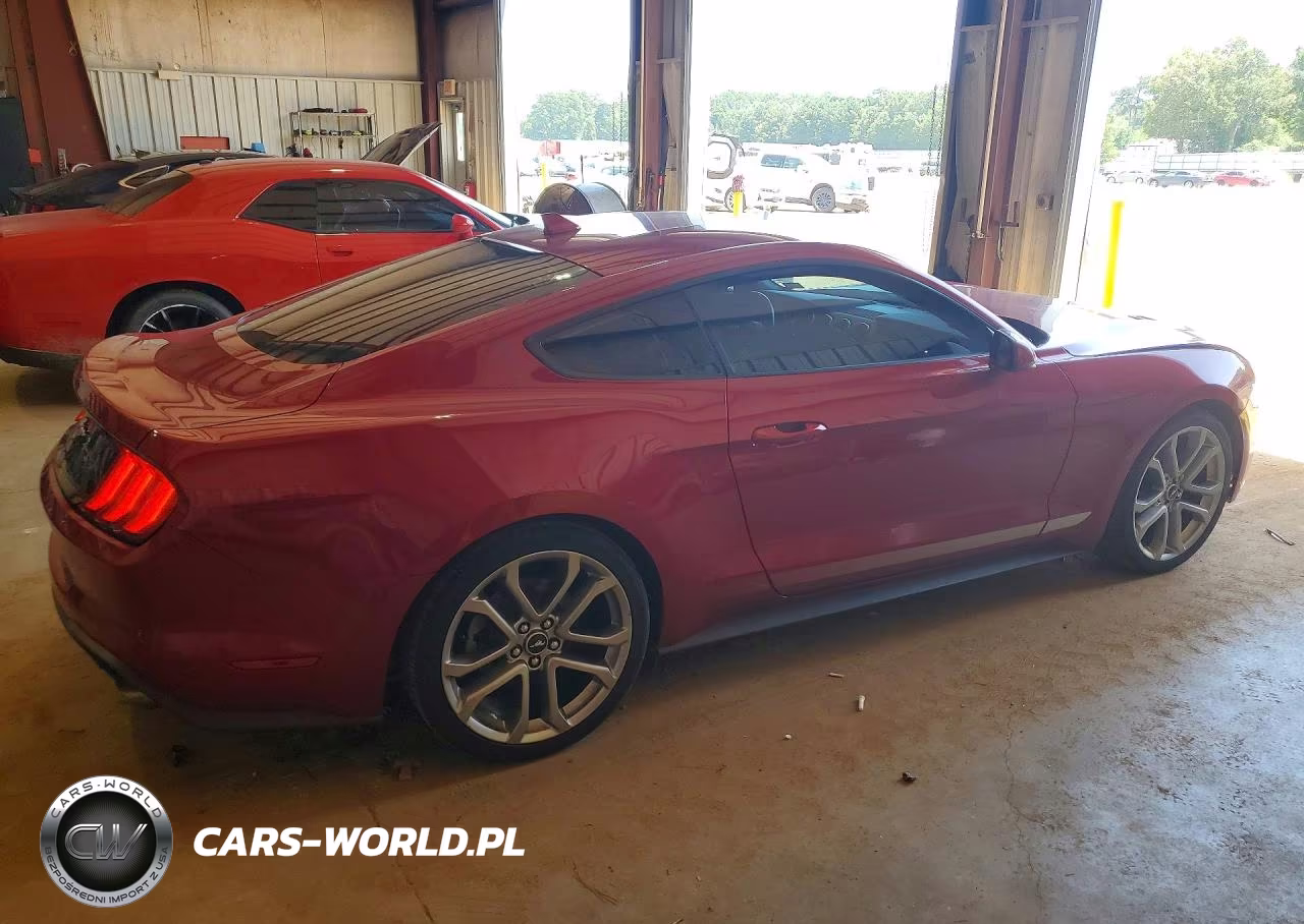 2021 Ford Mustang VIN:1FA6P8TH2M5149305 - 3