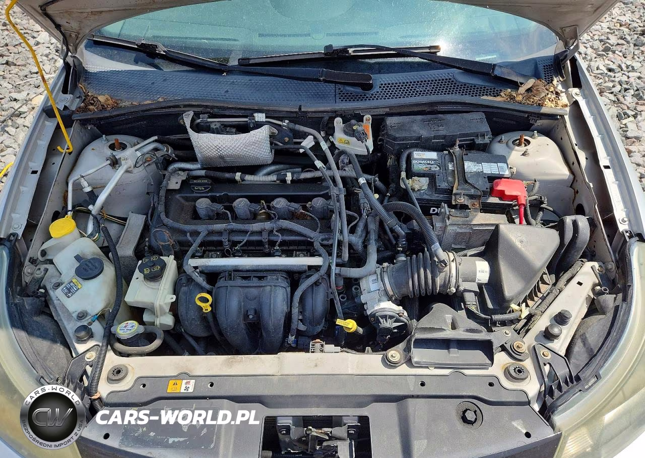 2010 Ford Focus Ses VIN:1FAHP3GN7AW190319 - 11