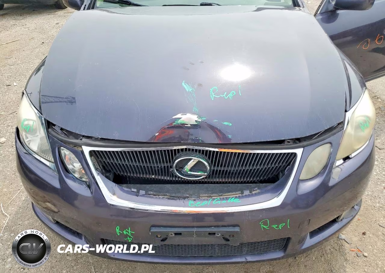 2006 Lexus Gs 300 VIN:JTHCH96S460001825 - 11
