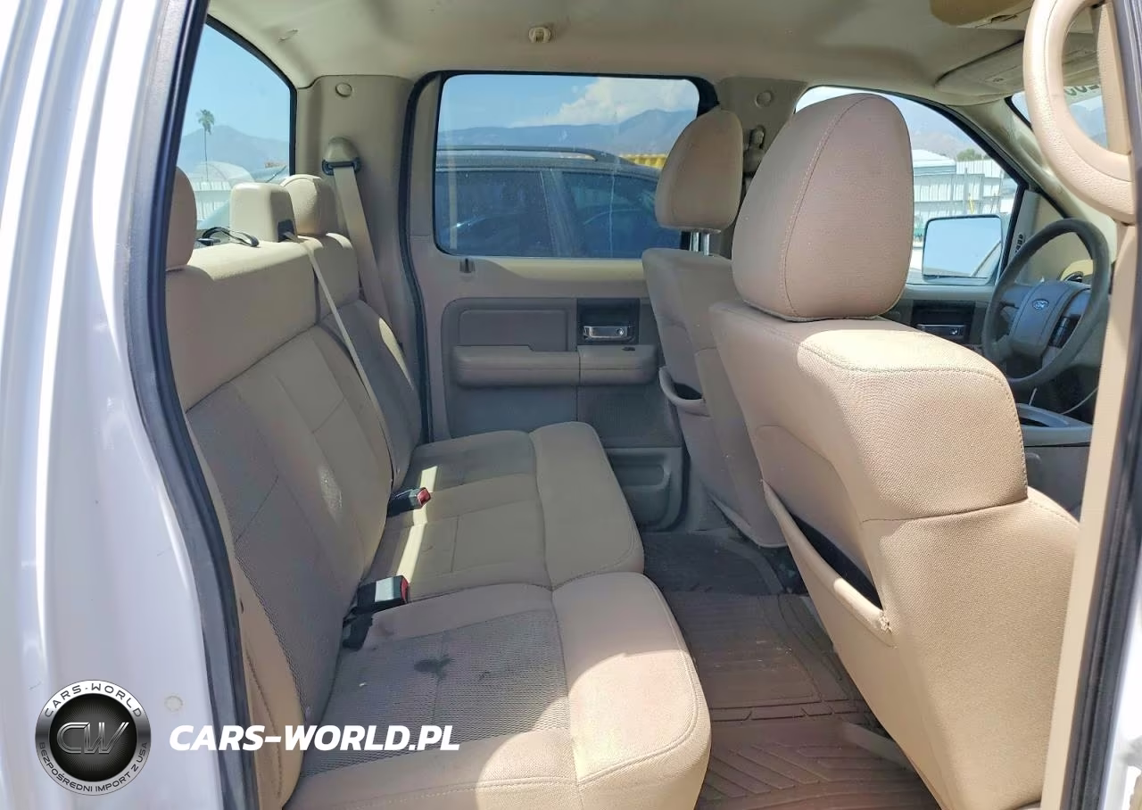 2005 Ford F150 Supercrew VIN:1FTRW14W15KD94016 - 10