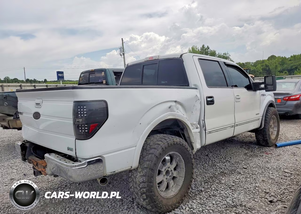 2010 Ford F-150 Fx4-Harley-Davidson-King Ranch-Lariat-Platinum-Xl-Xlt VIN:1FTFW1EVXAFB95056 - 3