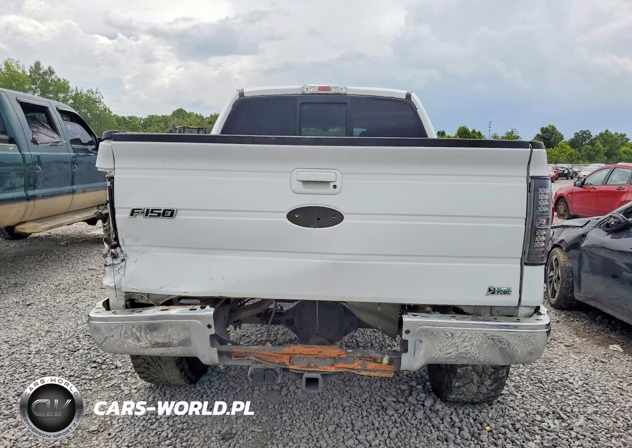 2010 Ford F-150 Fx4-Harley-Davidson-King Ranch-Lariat-Platinum-Xl-Xlt VIN:1FTFW1EVXAFB95056 - 6