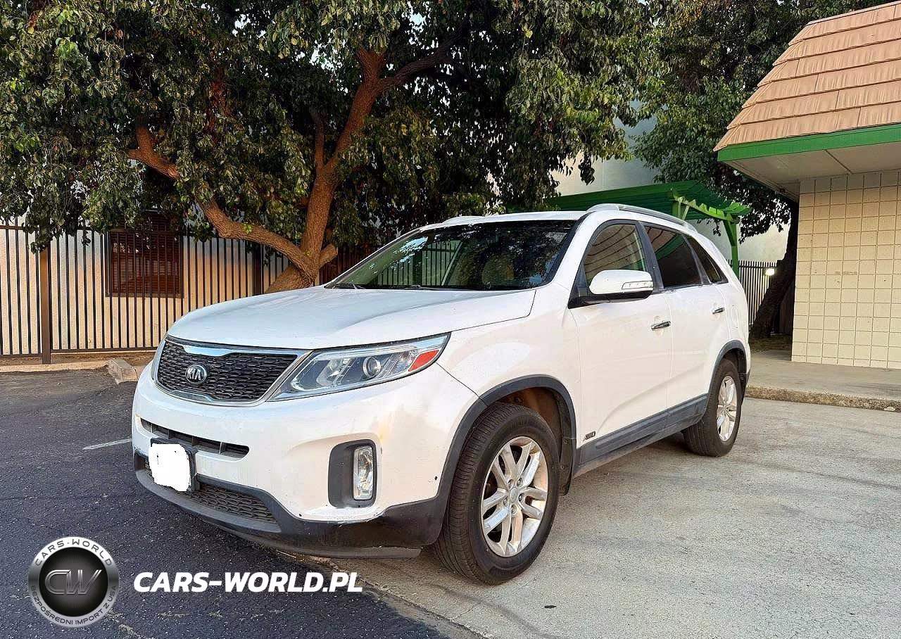 2014 Kia Sorento Lx VIN:5XYKTDA60EG541805 - 2