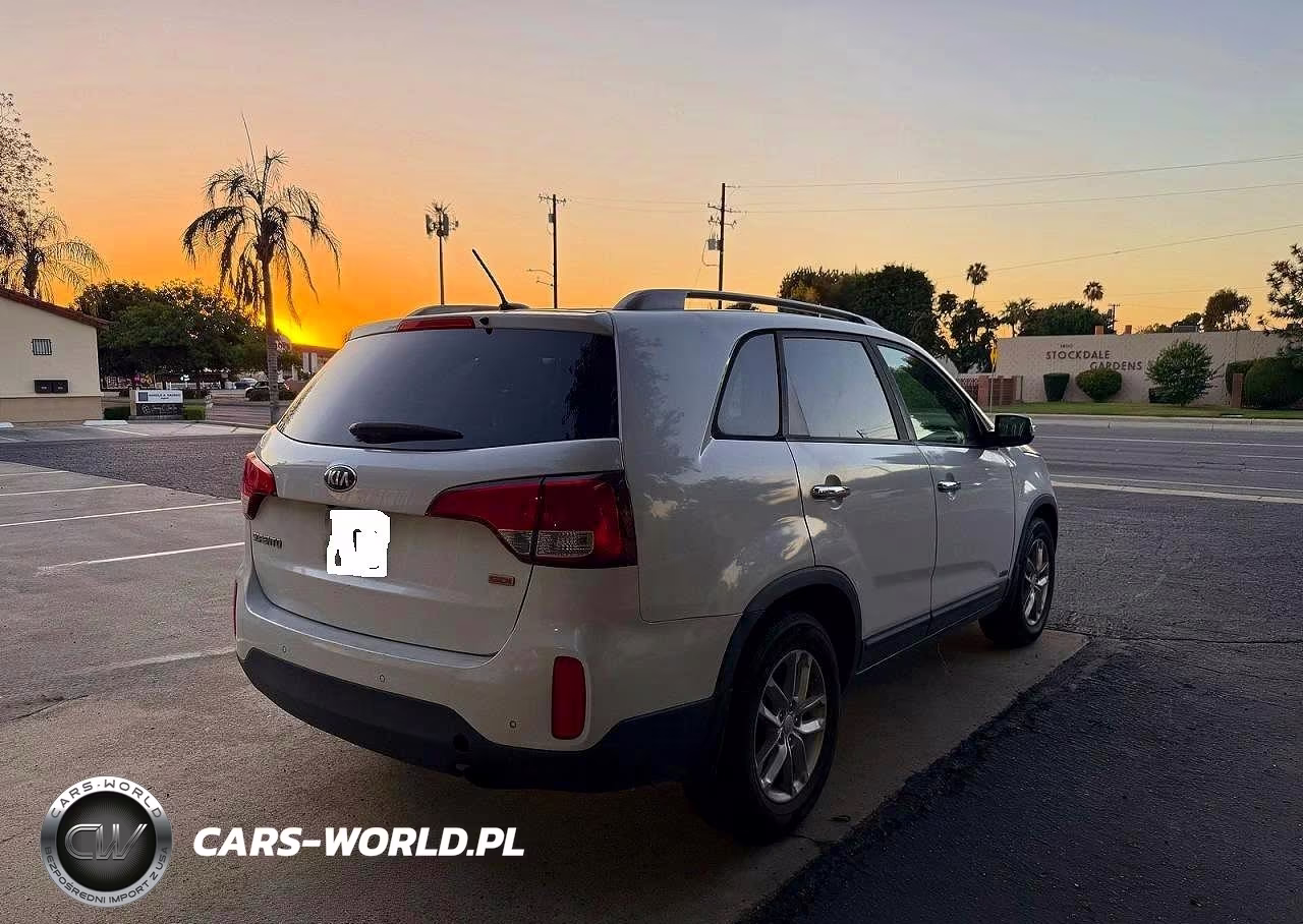 2014 Kia Sorento Lx VIN:5XYKTDA60EG541805 - 4