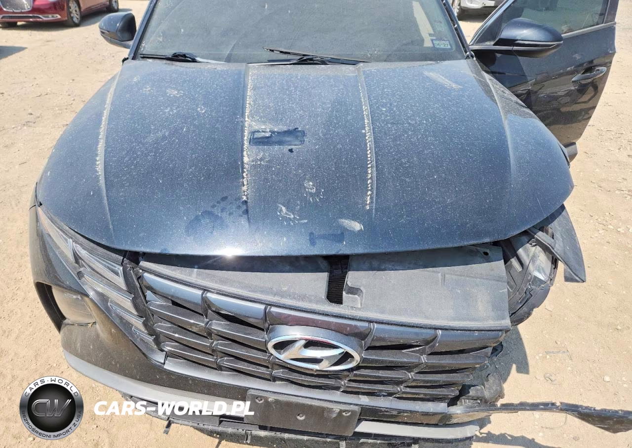 2023 Hyundai Tucson Sel VIN:5NMJFCAEXPH174439 - 12