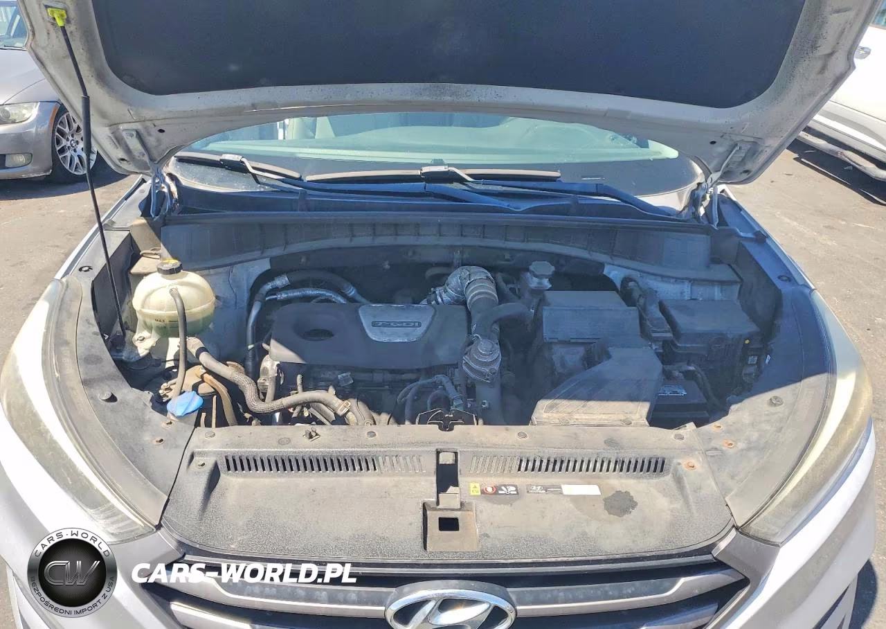 2016 Hyundai Tucson Eco VIN:KM8J33A23GU156951 - 12