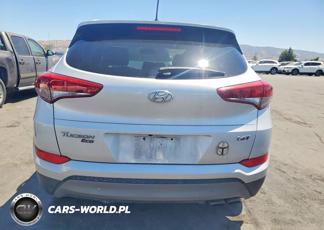 2016 Hyundai Tucson Eco VIN:KM8J33A23GU156951 - 6