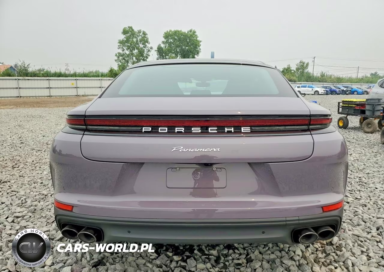 2025 Porsche Panamera Base VIN:WP0AA2YA1SL003288 - 6