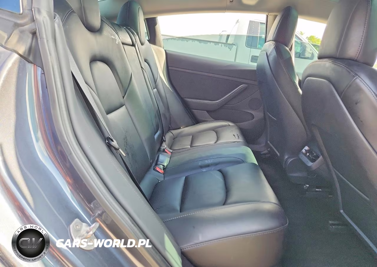 2021 Tesla Model 3 VIN:5YJ3E1EA6MF096195 - 10