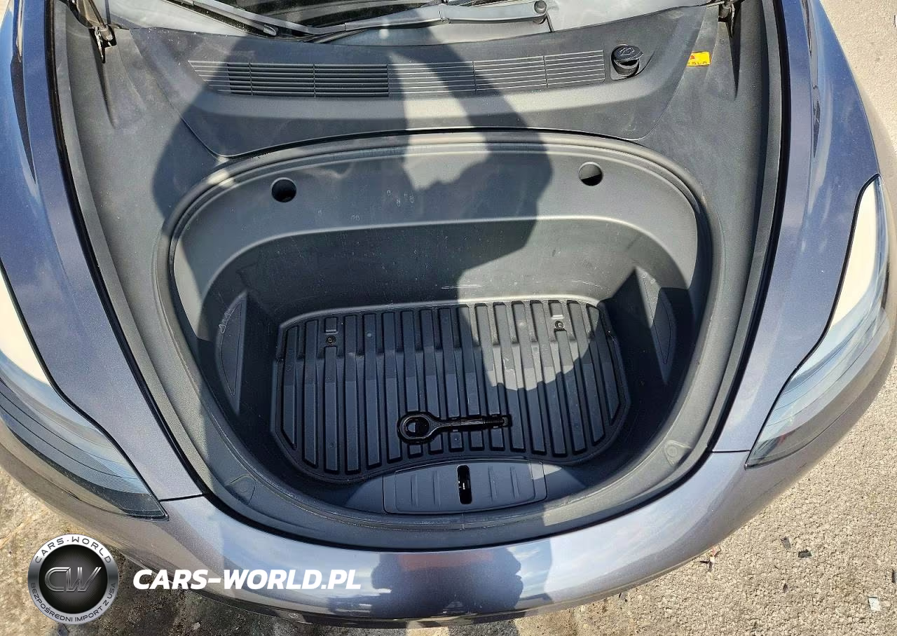 2021 Tesla Model 3 VIN:5YJ3E1EA6MF096195 - 11