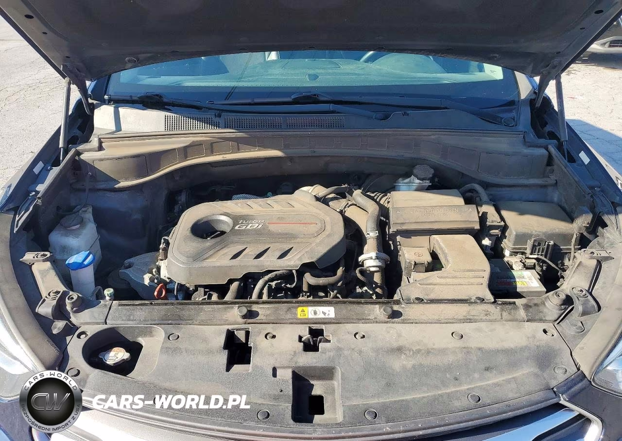 2018 Hyundai Santa Fe Sport 2.0T VIN:5XYZU4LA5JG556002 - 12
