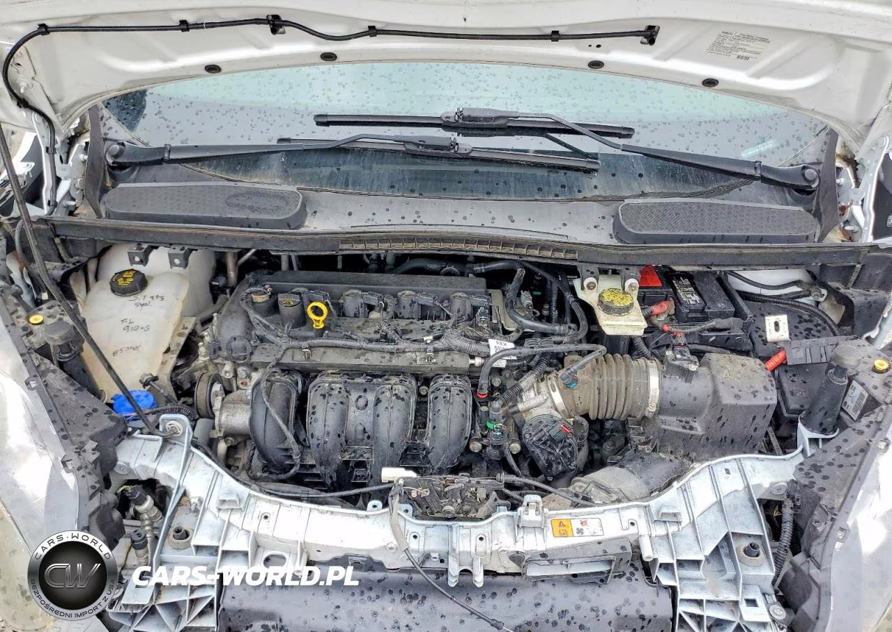 2016 Ford Transit Connect Xl VIN:NM0GS9E7XG1284130 - 12