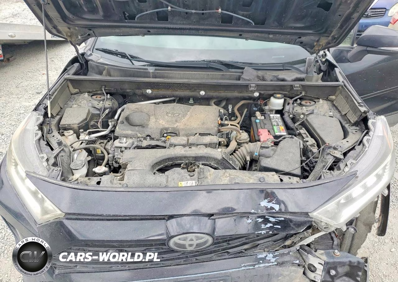 2019 Toyota Rav4 Xle VIN:JTMP1RFV1KD024760 - 12