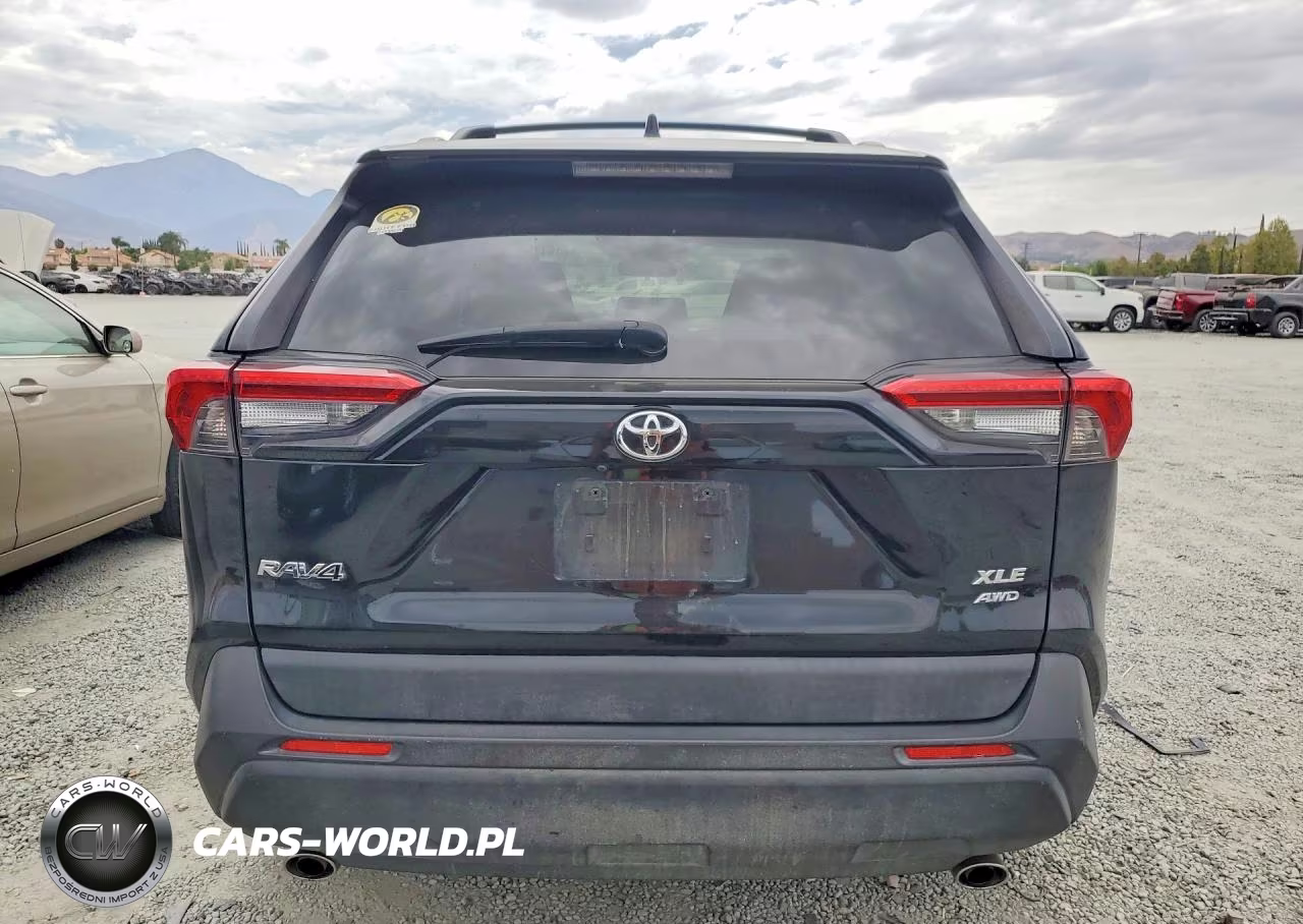 2019 Toyota Rav4 Xle VIN:JTMP1RFV1KD024760 - 6