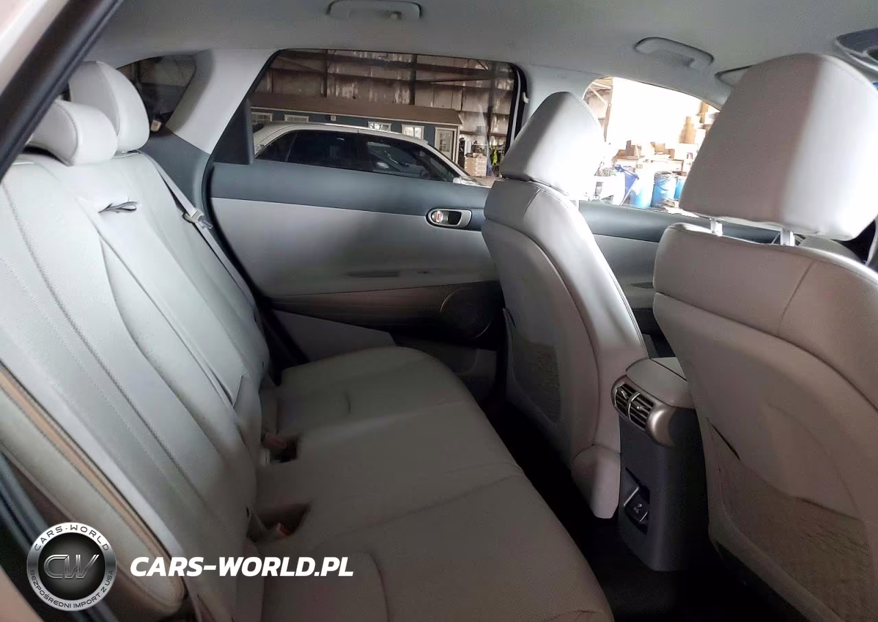 2019 Hyundai Nexo Blue VIN:KM8J74A65KU003431 - 11
