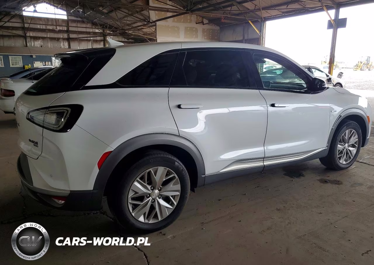 2019 Hyundai Nexo Blue VIN:KM8J74A65KU003431 - 3