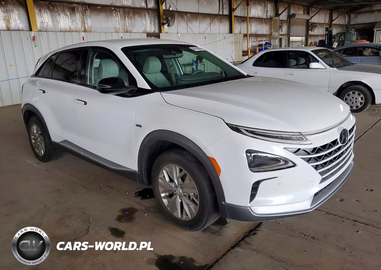 2019 Hyundai Nexo Blue VIN:KM8J74A65KU003431 - 4