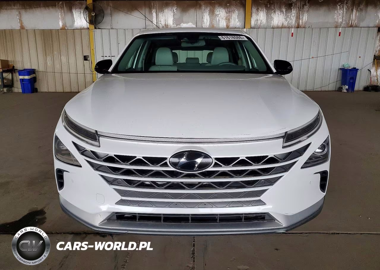 2019 Hyundai Nexo Blue VIN:KM8J74A65KU003431 - 5
