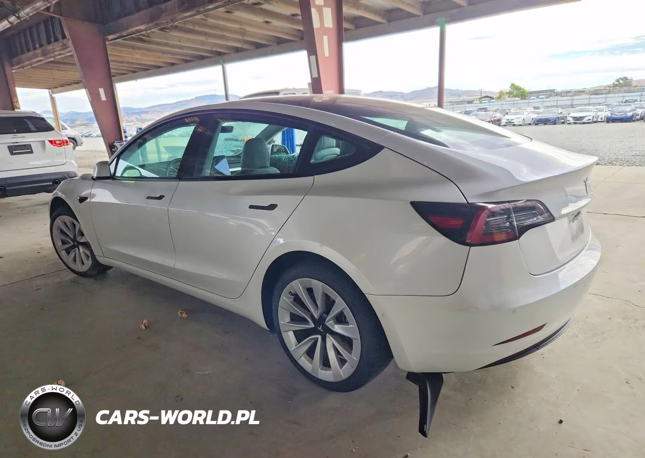 2021 Tesla Model 3 VIN:5YJ3E1EA3MF089267 - 2