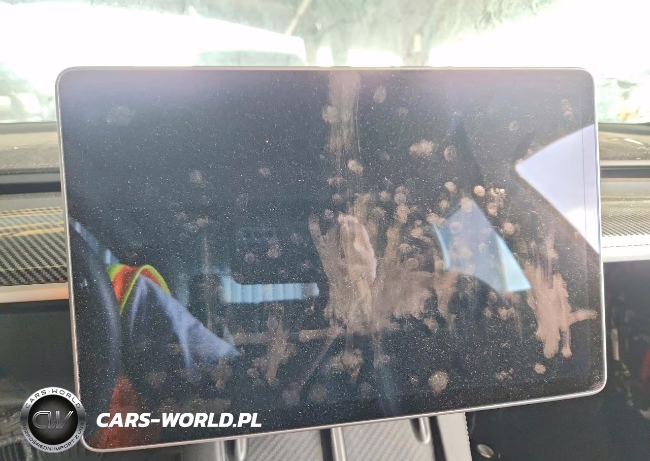 2021 Tesla Model 3 VIN:5YJ3E1EA3MF089267 - 9