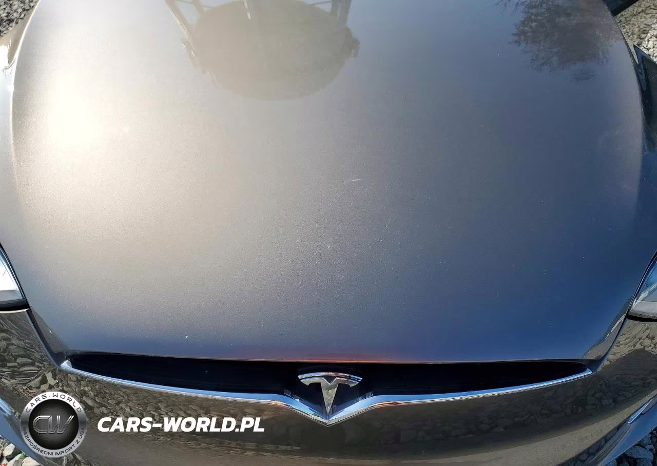 2016 Tesla Model X VIN:5YJXCBE28GF011111 - 12