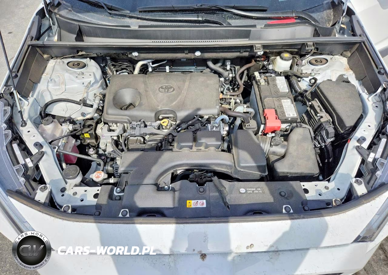 2024 Toyota Rav4 Le VIN:2T3H1RFVXRW325271 - 12