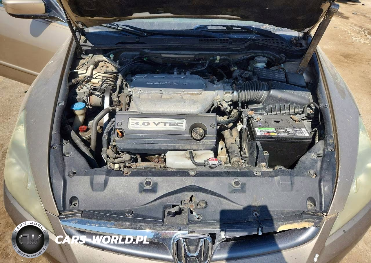 2007 Honda Accord Ex VIN:1HGCM66507A031648 - 11