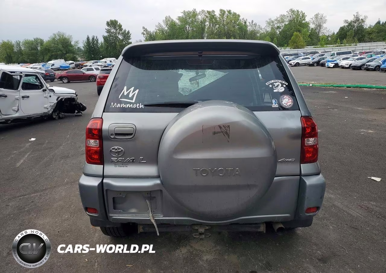 2004 Toyota Rav4 Base VIN:JTEHD20V340025104 - 6