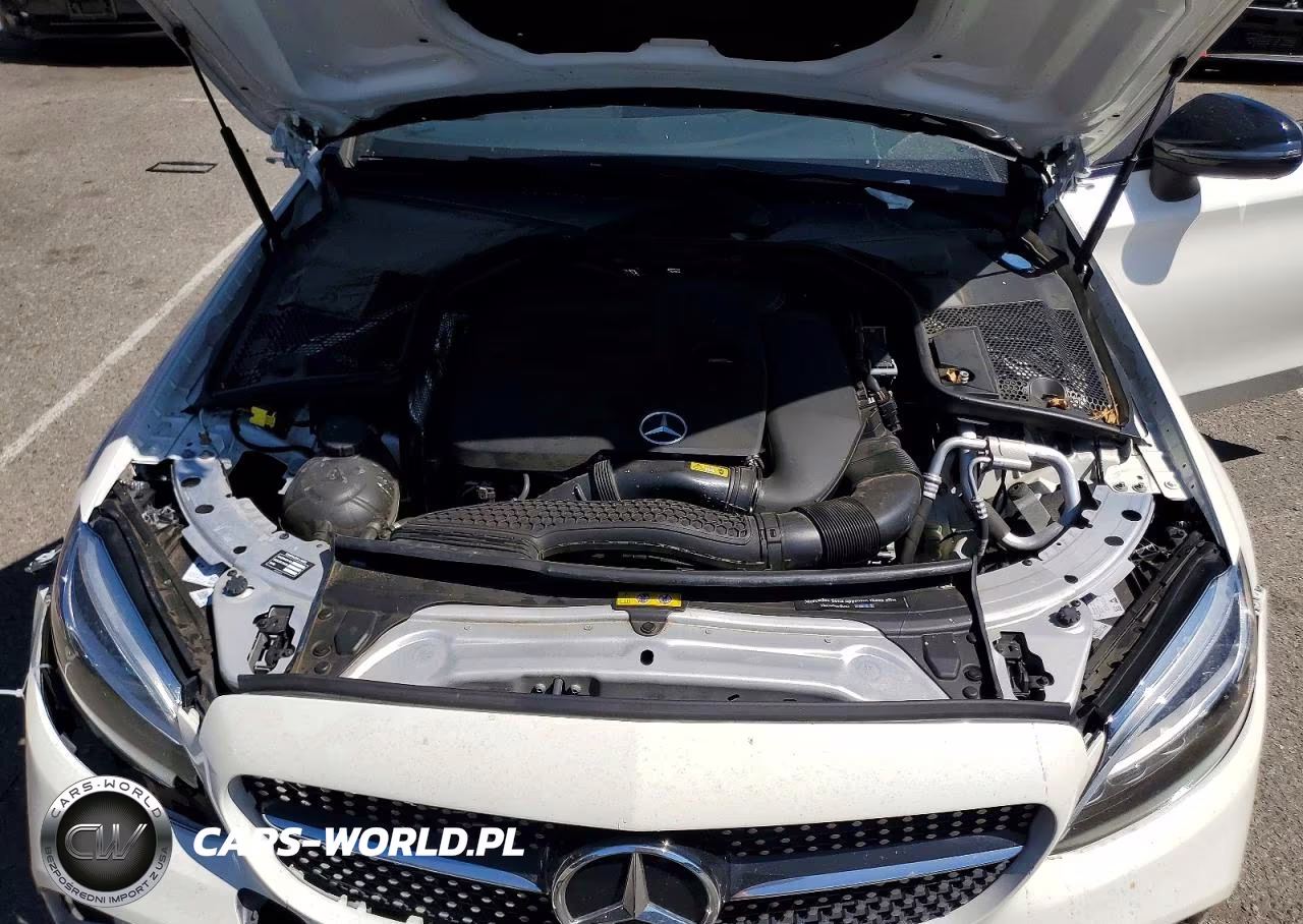 2019 Mercedes-Benz C 300 VIN:WDDWJ8DB3KF831595 - 11