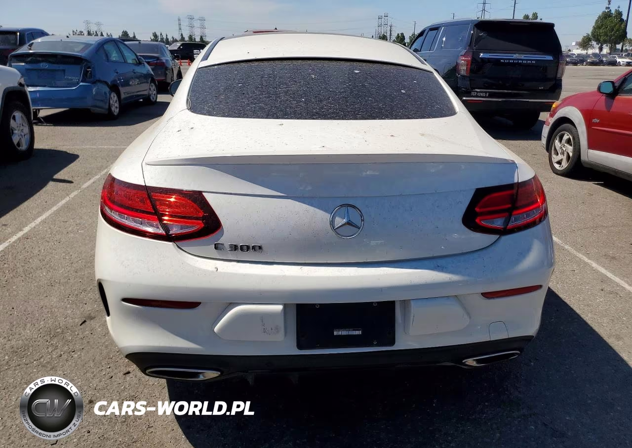 2019 Mercedes-Benz C 300 VIN:WDDWJ8DB3KF831595 - 6