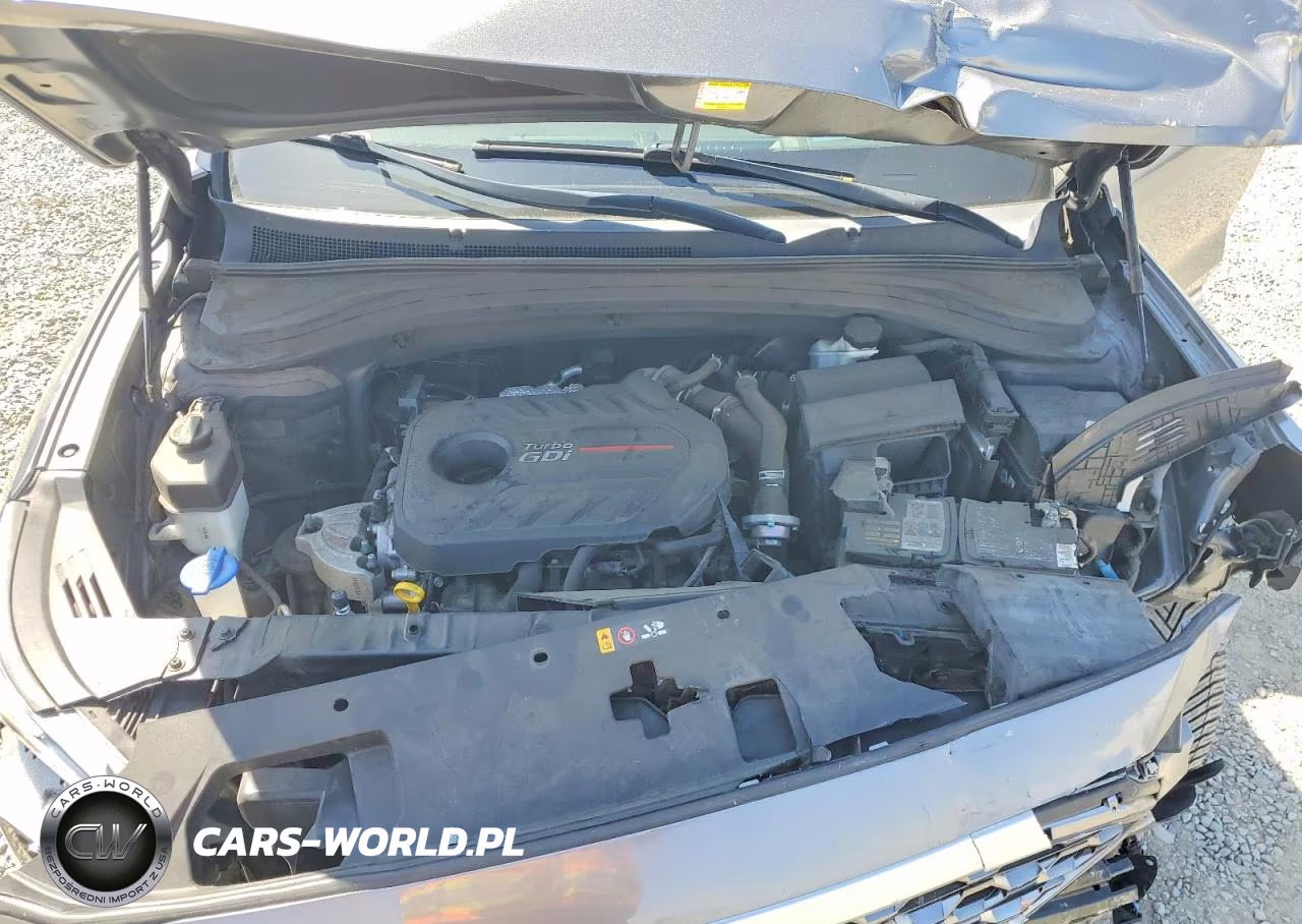 2019 Hyundai Santa Fe Ultimate 2.0T VIN:5NMS53AA1KH118578 - 12