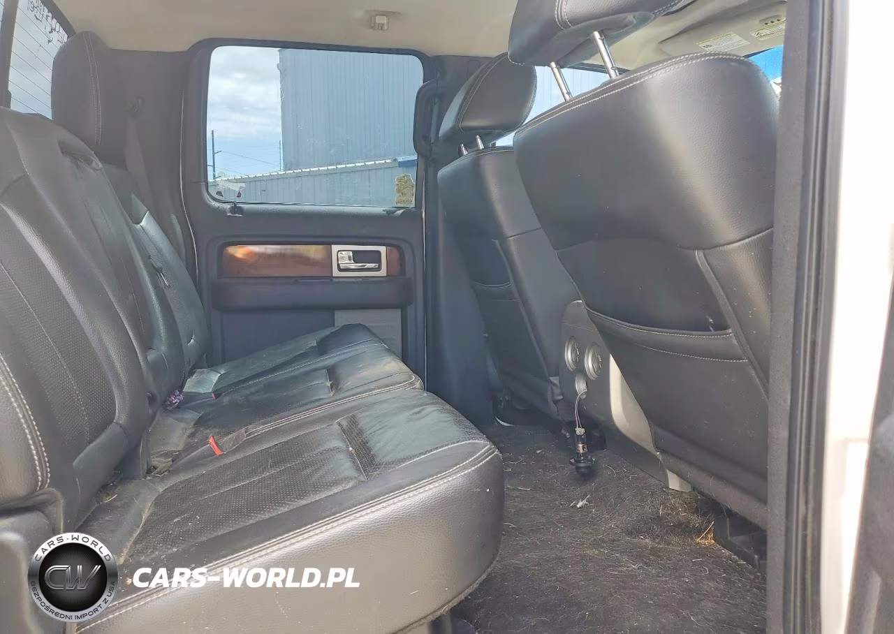 2010 Ford F150 Supercrew VIN:1FTFW1EV8AFB16967 - 10