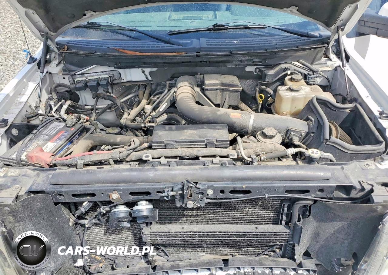 2010 Ford F150 Supercrew VIN:1FTFW1EV8AFB16967 - 11
