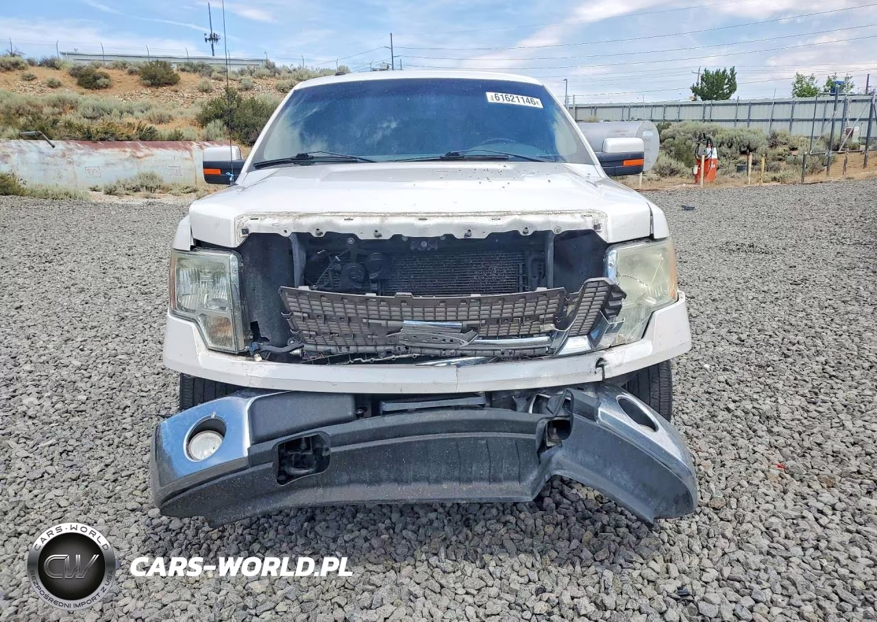 2010 Ford F150 Supercrew VIN:1FTFW1EV8AFB16967 - 5