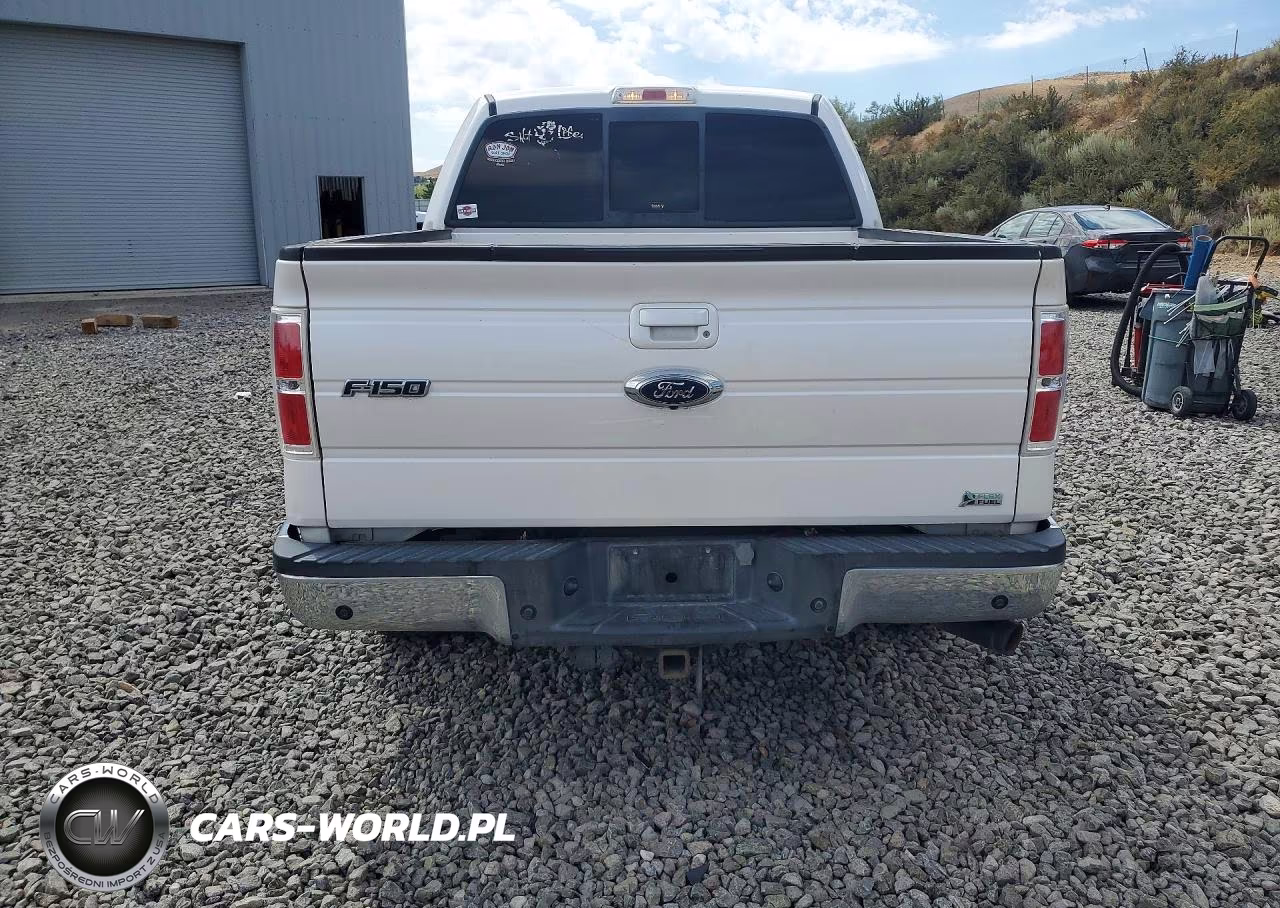 2010 Ford F150 Supercrew VIN:1FTFW1EV8AFB16967 - 6