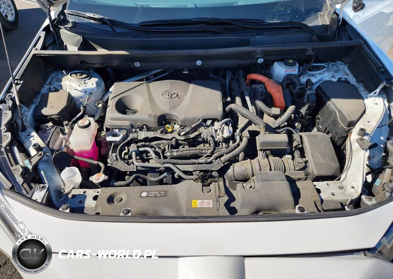 2025 Toyota Rav4 Hybrid Xle VIN:4T3RWRFV3SU195149 - 12