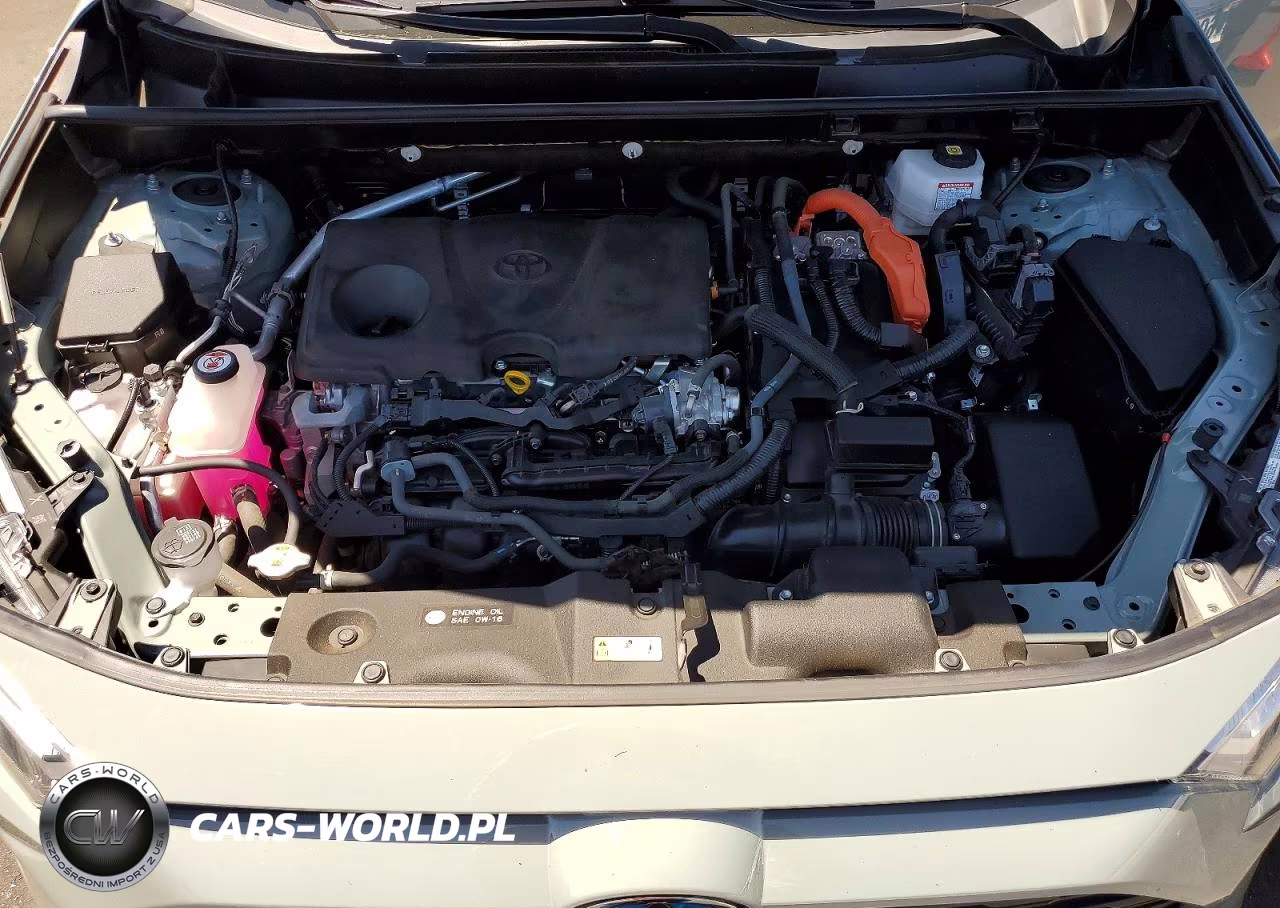 2023 Toyota Rav4 Xle Premium VIN:JTMB6RFV0PD084399 - 12