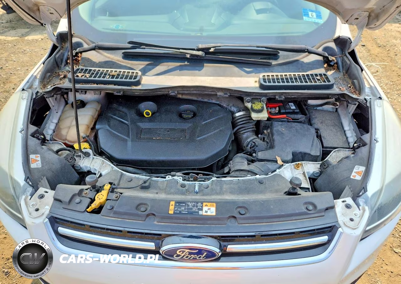 2016 Ford Escape VIN:1FMCU9J95GUC04522 - 12